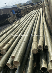 La Fábrica Produce Estacas de Bambú para Tomates, Soporte para Plantas de Jardín, Poste de Bambú Recto, Venta de Postes de Bambú Grandes - Product Image 6