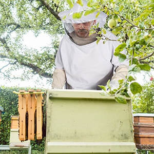 Factory Hot Sale Professional Beekeeping Safety <b>Suit</b> Protection Beekeeping <b>Suit</b> Breathable Custom Size <b>for</b> <b>Men</b> - Product Image 6