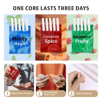 Inhalateur d'huile essentielle de menthe sans nicotine, sans fumée, en bâtonnet, pour soulagement rapide – Produit phare TikTok