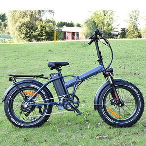 Bicicleta Eléctrica Plegable con Llantas Gruesas, Motor sin Escobillas, 20 Pulgadas, con Motor de Tracción Trasera y Batería de Litio de 13AH - Product Image 1