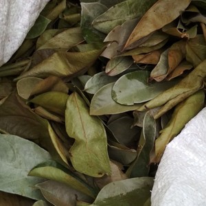 ทุเรียนเทศธรรมชาติ100% ใบแห้งและคัดสรรมาอย่างดีสำหรับคนรักชา - Product Image 1