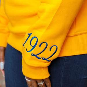 HBCU SGRho Chenille Embroidered Sweatshirt Royal Gold Sorority Inspired College Apparel Classic Crewneck Pullover - Product Image 6