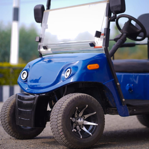 Buggy de golf de doble asiento de alto rendimiento, carrito de golf eléctrico ecológico | Easy Drive Golf Buggy - Product Image 4