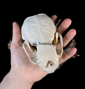 Tradebyd Figurine sculptée d'animaux en résine faite à la main Statue décorative de qualité supérieure pour maisons de luxe et bureaux élégants - Product Image 2