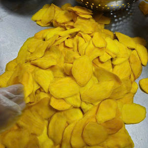 Fournisseur en gros de fruits en vrac, mangue séchée 100% naturelle, fruits déshydratés sucrés et délicieux de qualité supérieure Vietnam - Product Image 3