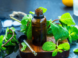 100% Huile essentielle de menthe de maïs certifiée pure et naturelle pour l'aromathérapie à bas prix et de haute qualité exportateur en vrac d'Inde - Product Image 4