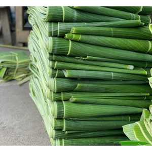 ใบกล้วยสดใบใหญ่สำหรับห่ออาหารผลิตภัณฑ์เป็นมิตรต่อสิ่งแวดล้อม - Product Image 6