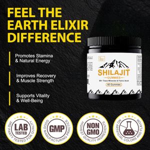 Gommes de Shilajit de l'Himalaya pur de marque privée OEM pour l'énergie et le soutien de la concentration Gommes de Shilajit pour hommes et femmes Gummy Shilajit 60 - Product Image 4