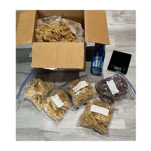 Eucheuma cottonii seamoss จากประเทศเวียดนามสาหร่ายทะเลแห้งป่าผลิตจาก0084392328745ส่งออก - Product Image 3