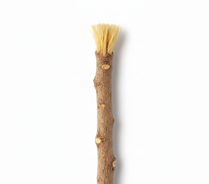 Puresprout แท่งไม้สมุนไพรทำจากไม้เพื่อฟันขาวแบบออร์แกนิกสุขภาพฟันเป็นมิตรต่อสิ่งแวดล้อมทำความสะอาดช่องปากด้วยธรรมชาติ Miswak - Product Image 2