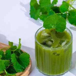 ผง Gotu Kola ออร์แกนิกผงใบเซนเทลล่าสีเขียวบริสุทธิ์ผลิตในประเทศเวียดนาม - Product Image 5