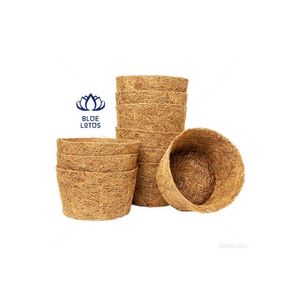 การส่งออกดอกไม้กาบมะพร้าวจากเวียดนามหม้อกาบมะพร้าว - Product Image 3