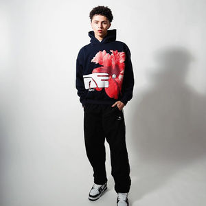 Men's 100% Cotton Blended <b>Hoodies</b> & Sweatshirts Heavyweight Winter <b>Workout</b> with 3D Embroidery Basics - Product Image 5