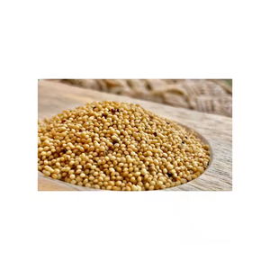 Semillas de amaranto Rajgira de alto grado, origen indio, empaquetado a granel de grano entero limpio natural a precio de exportación competitivo - Product Image 6