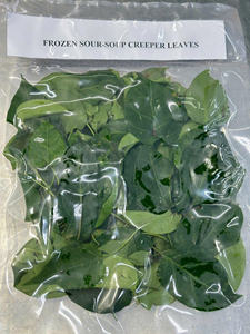 Hojas de Giang congeladas de fábrica de Vietnam/hojas de río o hojas de enredadera de Guanábana con calidad superior para exportar a todo el mundo - Product Image 5