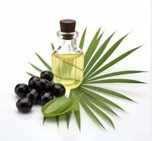 Huile de palmier nain de qualité supérieure, pure, pressée à froid, utilisée pour l'épaississement des cheveux, l'adoucissement de la peau et les produits de beauté par le fournisseur - Product Image 3