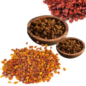 Bayas secas de espino amarillo | Cosechado salvaje para marcas medicinales - Product Image 1