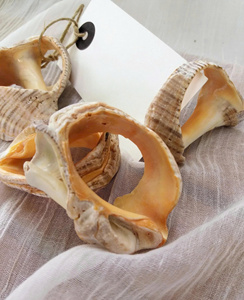 Anneaux de serviette coquillage décoratifs pour la plage Réglage de table pour la fête de mariage Thème côtier Ensemble de coquillages naturels faits à la main - Product Image 4