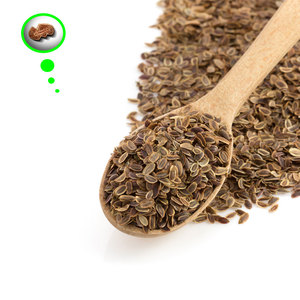 Graines de persil |   Pureté 99% Durée de conservation de 3 ans |   Produit à base de plantes en vrac pour les acheteurs B2B - Product Image 2