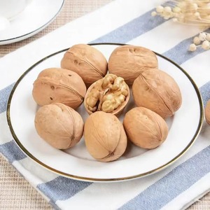 วอลนัทธรรมชาติสดสำหรับซูเปอร์มาร์เก็ตและตัวแทนจำหน่ายอาหารทั่วโลกส่งออกจำนวนมาก - Product Image 2