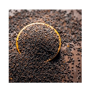 Fournisseur direct d'usine, herbes et épices séchées, matières premières, graines de moutarde - Product Image 4