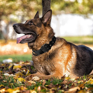 Collar de entrenamiento táctico de nailon ajustable para perros Collar de actividad al aire libre de estilo moderno con hebilla resistente - Product Image 6