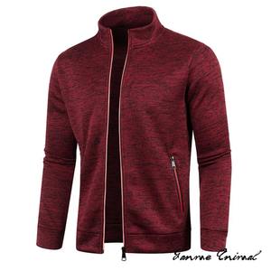 Sweat-shirt léger pour homme style sportif automne, à fermeture éclair, col montant boutonné, teint en pièce, séchage rapide - Product Image 3