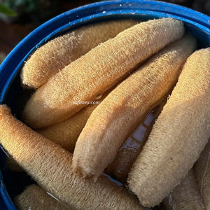 ใยบวบธรรมชาติ 20-40 ซม. ผลิตจากฟาร์มในเวียดนาม ออร์แกนิค ใยบวบทั้งชิ้น ขนาดเต็ม ไม่มีสารเคมี สำหรับอาบน้ำและใช้ในครัว ใยบวบเวียดนาม - Product Image 1