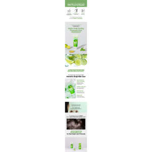 CHUIHAIR Mojito <b>Scalp</b>-Scaling Treatment Pack Hair <b>Scalp</b> Massage Oil - Product Image 2