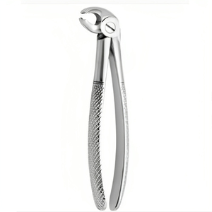 REHMAT NOOR INDUSTRY RN-WTEF-001 Outil d'extraction vétérinaire en acier inoxydable, tête tournée, forceps dentaire pour cheval pour les dents - Product Image 4