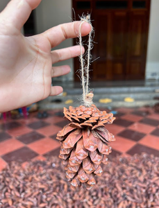 ผ้าพินโคเนสที่เป็นมิตรกับสิ่งแวดล้อมสำหรับตกแต่งทำด้วยมือวัสดุคลุมดินสวนและสำเนียงภายในธรรมชาติ - Product Image 5