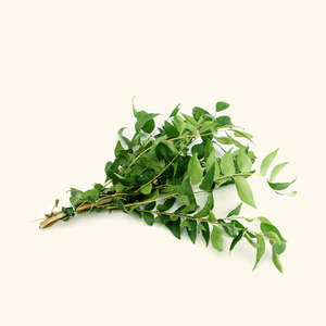 Aceite Esencial de Hoja de Curry para el Cuidado y Peinado del Cabello - Product Image 1
