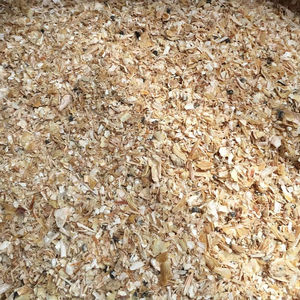 Polvo de camarón de concha seca totalmente natural vietnamita altamente nutritivo para alimentación de peces de cerdo de caballo - Product Image 6