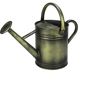 Canne à eau en métal Simple classique de conception attrayante pour la canne à eau de jardin d'hôtel à la maison pour l'utilisation de plantation de jardin d'hôtel à la maison - Product Image 4