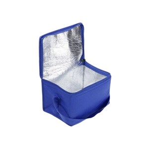 Bolsa Térmica Aislante de PP Tejido Resistente con Logotipo Personalizado Impreso para Tiendas de Abarrotes, Supermercados y Empaquetado de Mercancía Minorista - Product Image 3