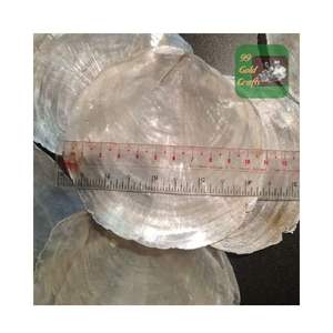 CLEAR CAPIZ SEASHELL <b>ORNAMENT</b> HOME DECORATIVE CRAFTS MADE FROM CLEAR SEASHELL POLISHED ROUND CUT CAPIZ SEASHELL - Product Image 6