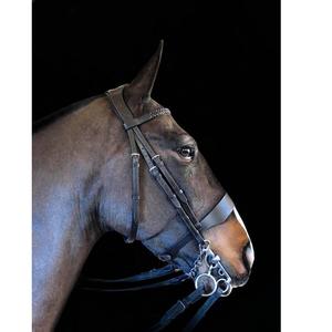 Bandeaux en cuir tressé pour bride Shetland Cob ou Full Brown ou Black, vente en gros, design personnalisé, cuir véritable de haute qualité - Product Image 1