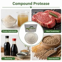 Poudre d'enzyme protéase composée de qualité alimentaire 200 000 U/g pour la hydrolyse des protéines