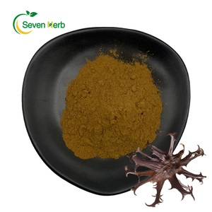 7つのハーブ天然<span class=keywords><strong>Harpagophytum</strong></span> <span class=keywords><strong>Procumbens</strong></span>エキスデビルズクロー根エキスパウダー - Product Image 1