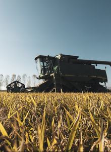 Arroz Selenio Hecho en Italia, Alta Calidad, Bolsa de 20 kg para la Industria Alimentaria y Horeca, Riso GVERDI, Selección de Alimentos Italianos, Hecho en Italia - Product Image 6