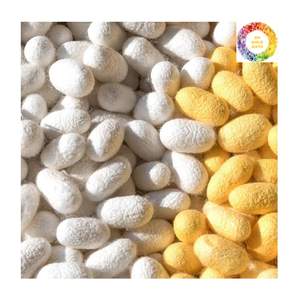 COTON DE SOIE VIETNAMIEN DE HAUTE QUALITÉ AVEC DES MATÉRIAUX NATURELS ET DE MULTIPLES AVANTAGES POUR LA BEAUTÉ ET LE SOIN DE LA PEAU - Product Image 2