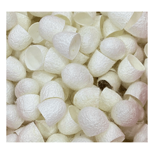 Usine naturel ver à soie cocon fibre de soie mûrier blanc soie cocon pour soins de la peau de haute qualité et bonne offre - Product Image 2