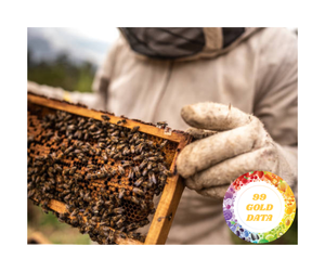 หวีน้ำผึ้งธรรมชาติ100% จากฟาร์มเวียดนามหวีน้ำผึ้งพรีเมี่ยมสำหรับการส่งออกดีลที่ดี - Product Image 6