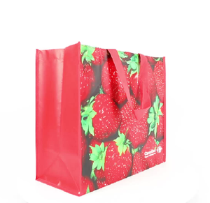 การออกแบบล่าสุดงานศิลปะการพิมพ์ใหม่และโพรพิลีนที่มีคุณภาพดีทอถุงช้อปปิ้งร้านขายของชำในสีเขียวสีเหลืองสีแดง - Product Image 5