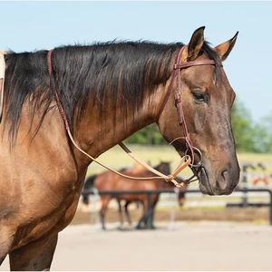 Brida Clásica de Cuero para Caballo con Sistema de Riendas Diseñada para Prácticas Diarias de Equitación y Entrenamiento en Pista - Product Image 1
