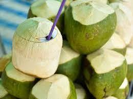 มะพร้าวสดหวานและฉ่ําหวานเวียดนามพรีเมี่ยมในราคาไม่แพง - Product Image 3