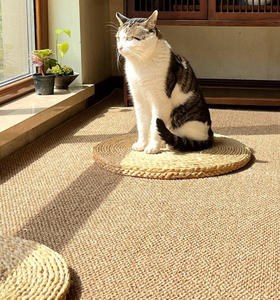 Venta directa de fábrica Bradon, alfombrillas de yute hechas a mano, decoración de lujo para el hogar, juegos de alfombras trenzadas con mechones, sala de estar, oficina a granel - Product Image 5