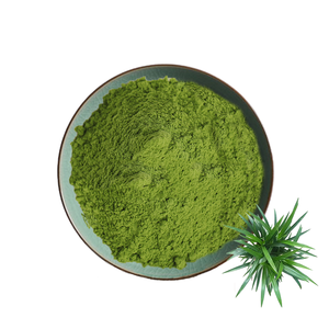 Polvo de Hojas de Pandan OEM para Empaquetado Minorista de Marca Privada y Distribución a Granel - Product Image 3