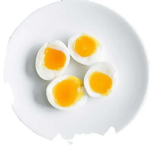 Harga jual panas telur ayam meja segar cangkang putih/coklat dalam jumlah besar