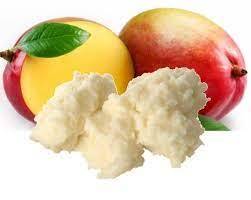 La Mantequilla de mango refinada se extrae presionando de las semillas de los proveedores de venta de fruta de mango carnoso DEL SUR DE LA India - Product Image 6